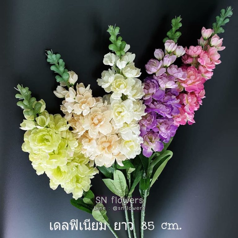 My Image 9