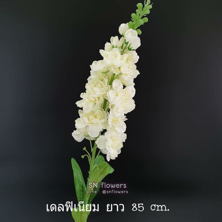 My Image 17