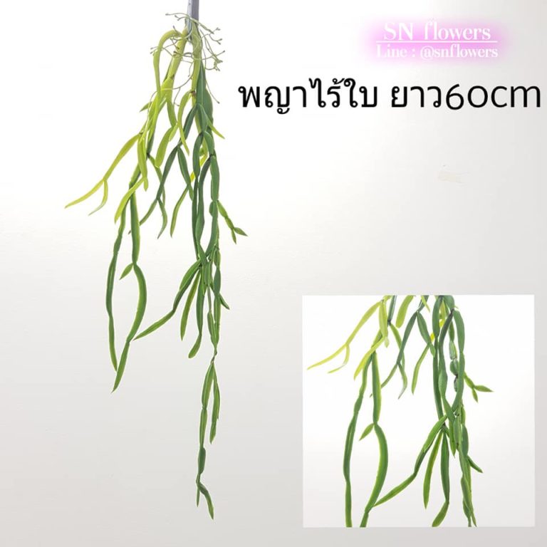 My Image 10