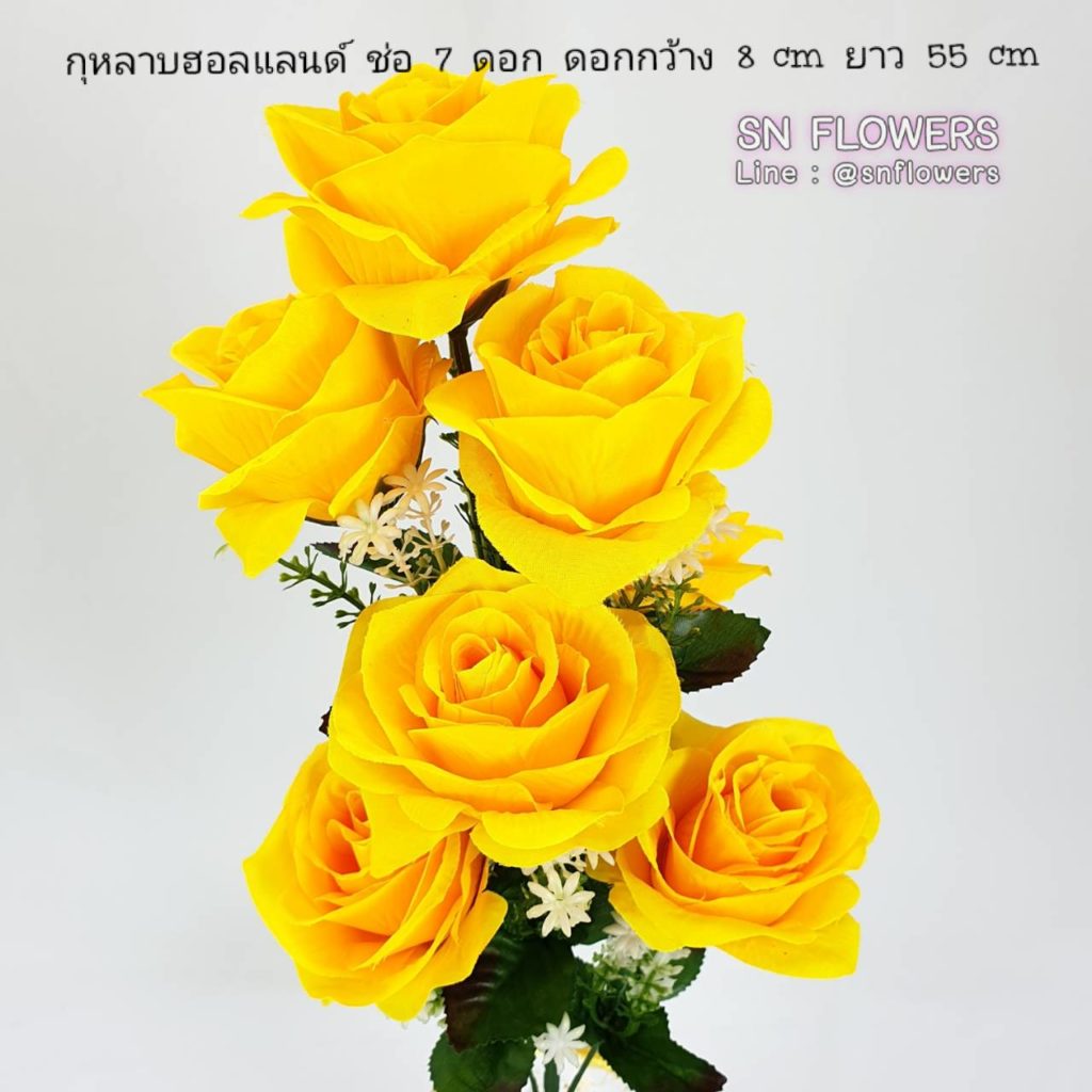 My Image 72