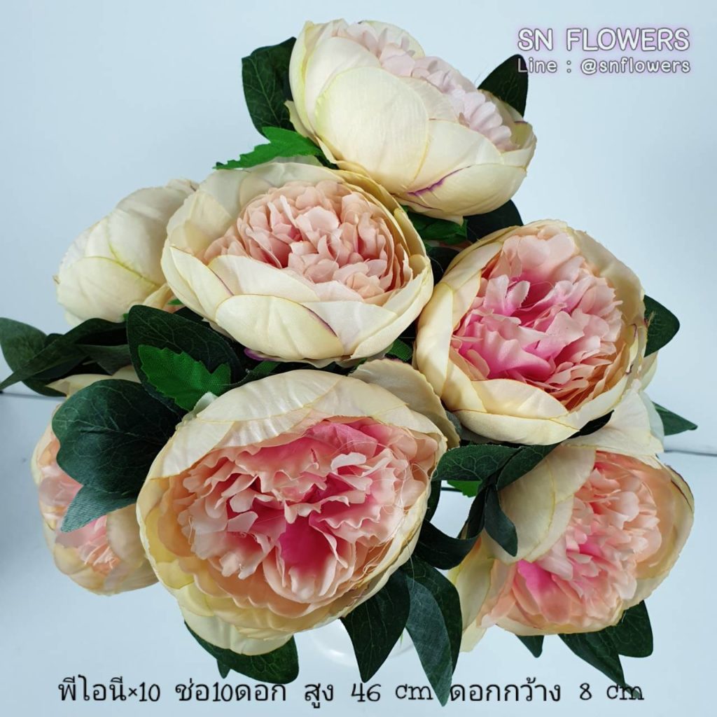 My Image 20