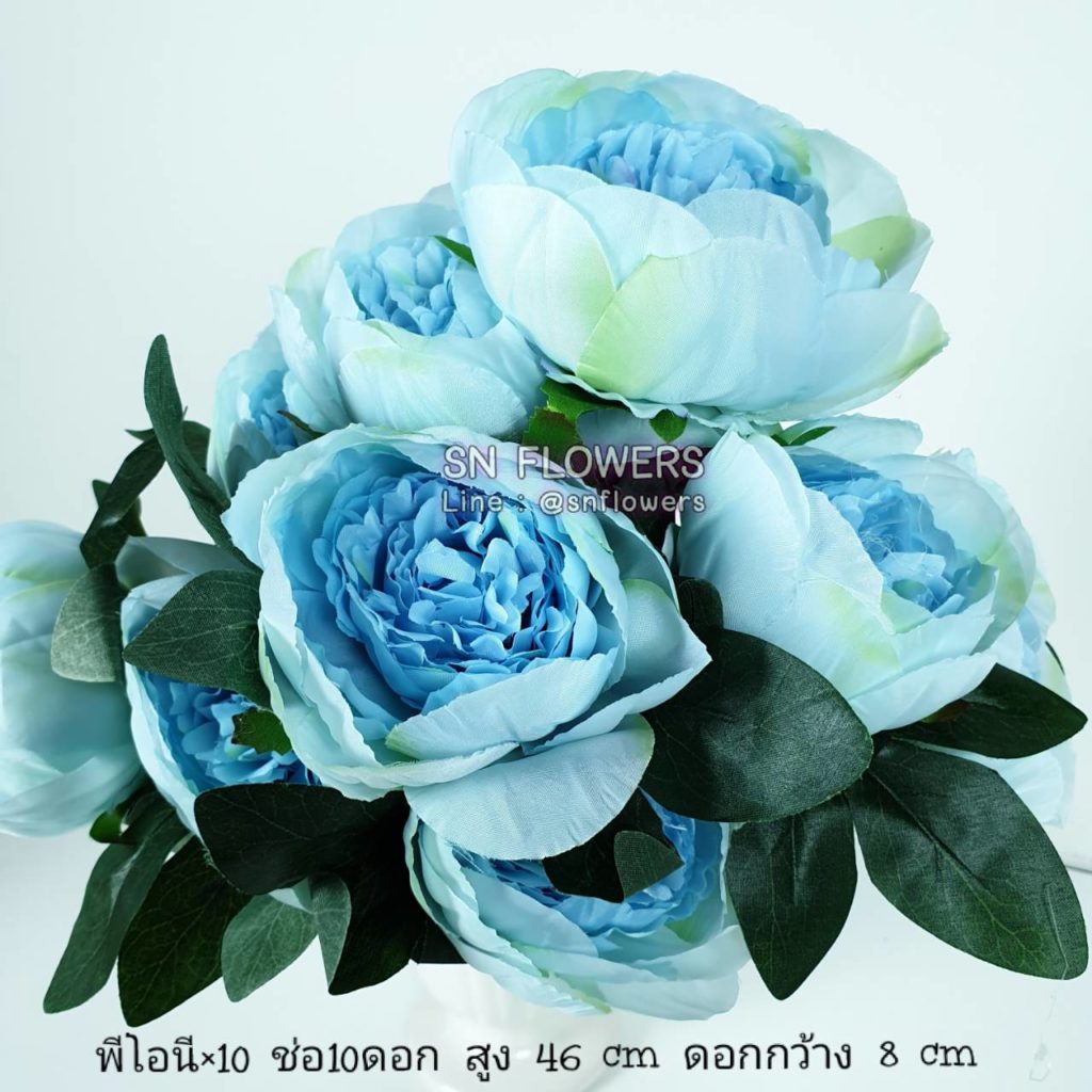My Image 25