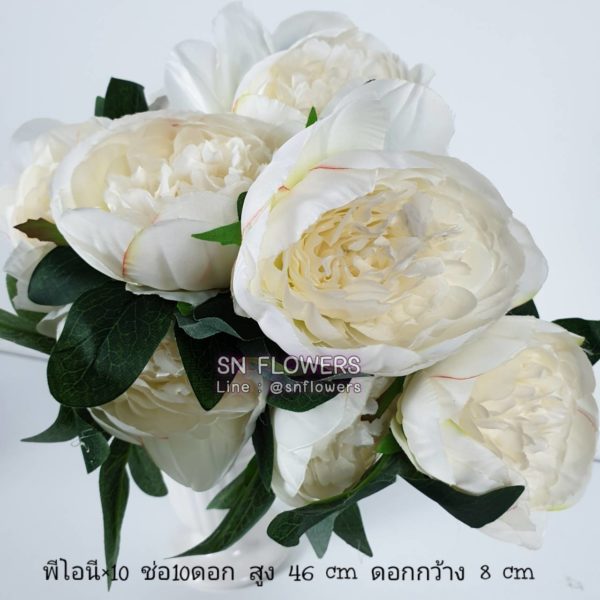 My Image 24