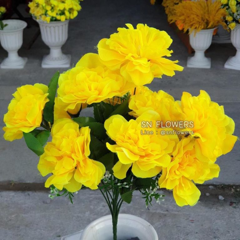 My Image 29