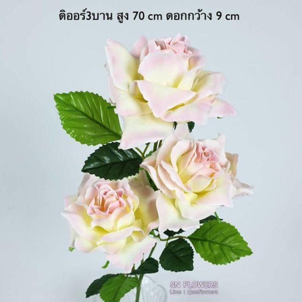My Image 10