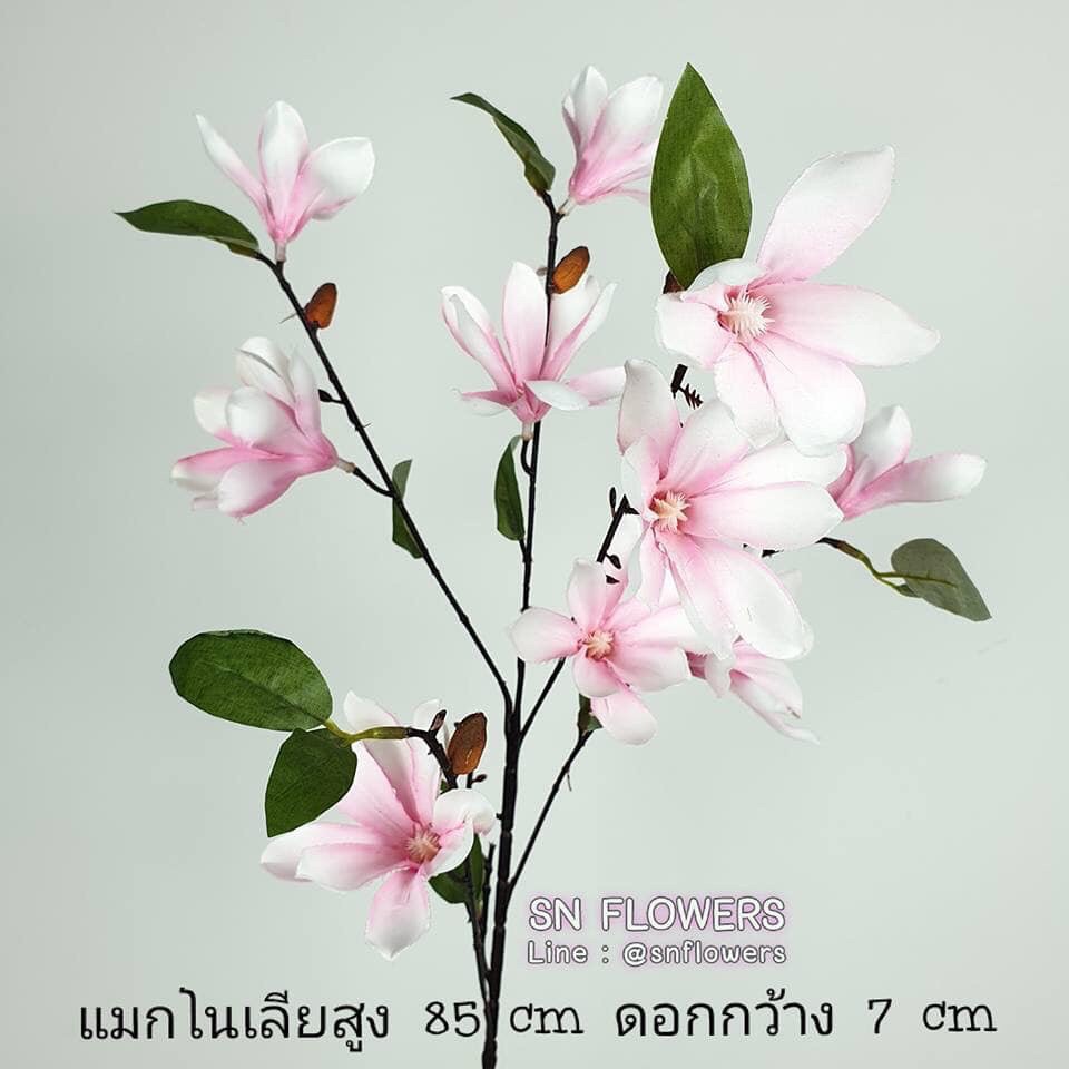 My Image 46