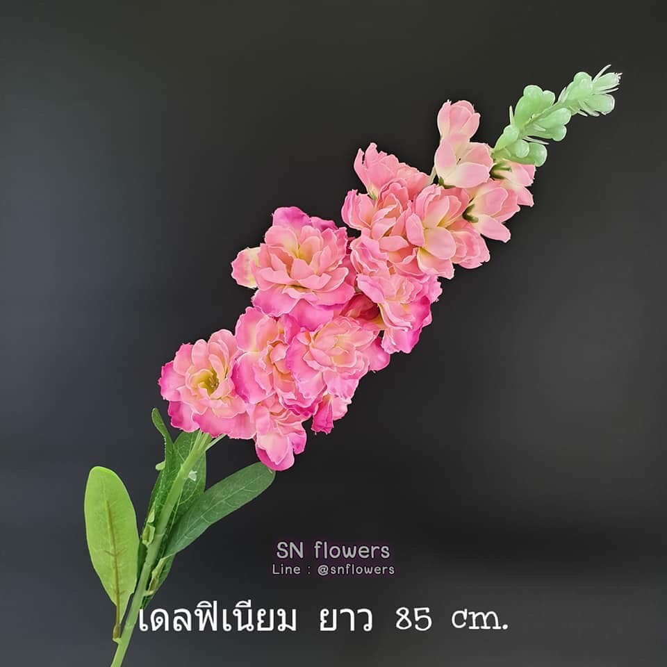 My Image 3