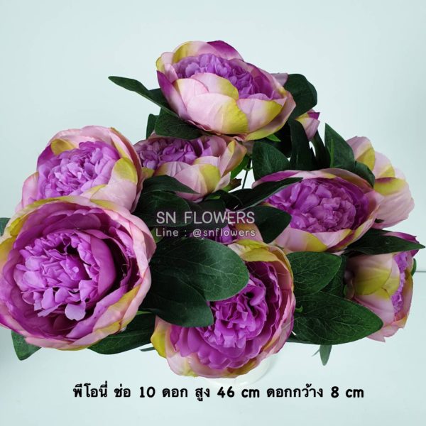 My Image 28