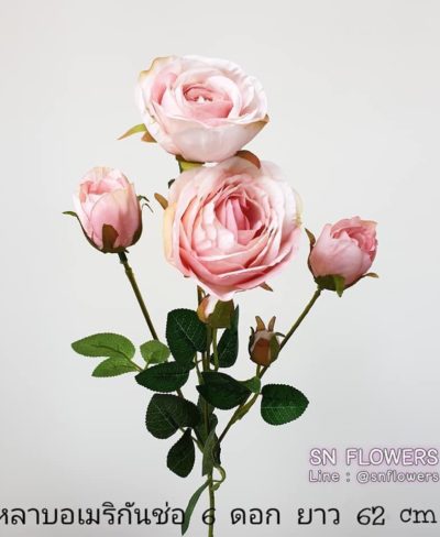 ดอกไม้สีชมพู_๑๙๐๕๐๒_0020