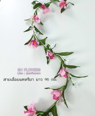 ดอกไม้สีชมพู_๑๙๐๕๐๒_0046