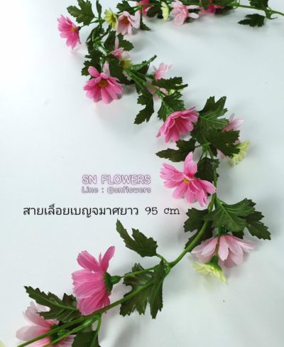 ดอกไม้สีชมพู_๑๙๐๕๐๒_0047