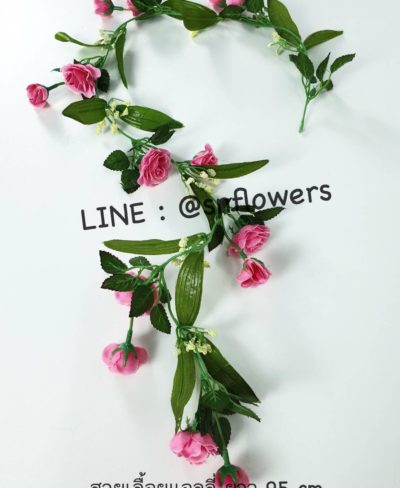 ดอกไม้สีชมพู_๑๙๐๕๐๒_0048