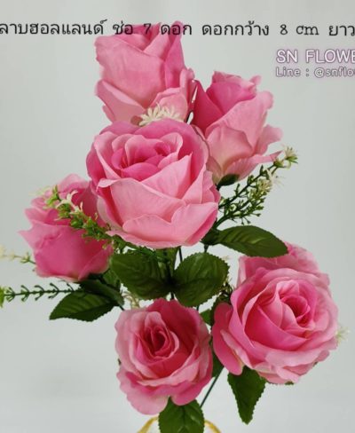 ดอกไม้สีชมพู_๑๙๐๕๐๓_0022