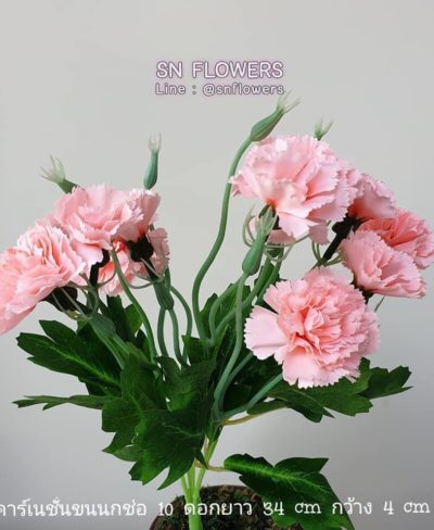 ดอกไม้สีชมพู_๑๙๐๕๐๓_0041