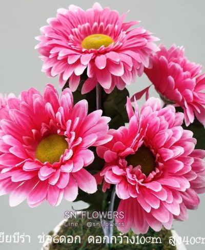 ดอกไม้สีชมพู_๑๙๐๕๐๓_0043