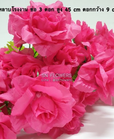 ดอกไม้สีชมพู_๑๙๐๕๐๓_0085