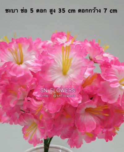 ดอกไม้สีชมพู_๑๙๐๕๐๓_0086
