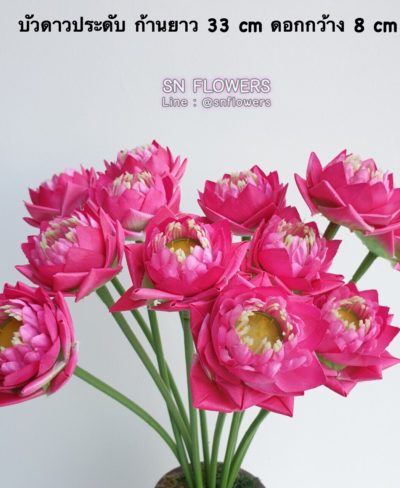 ดอกไม้สีชมพู_๑๙๐๕๐๓_0098