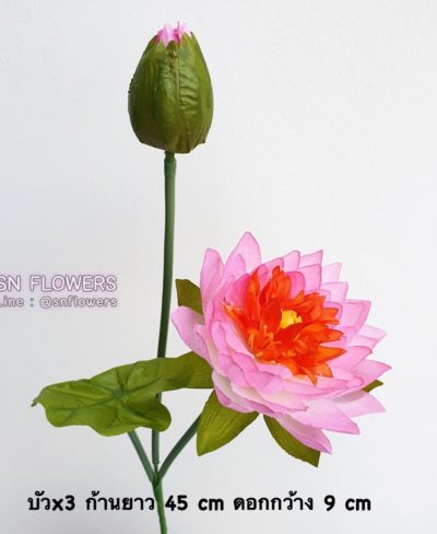 ดอกไม้สีชมพู_๑๙๐๕๐๓_0099
