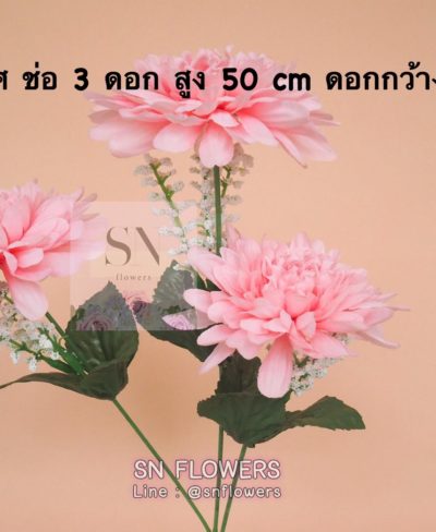 ดอกไม้สีชมพู_๑๙๐๕๐๓_0120