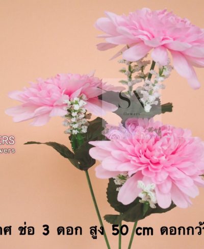 ดอกไม้สีชมพู_๑๙๐๕๐๓_0122