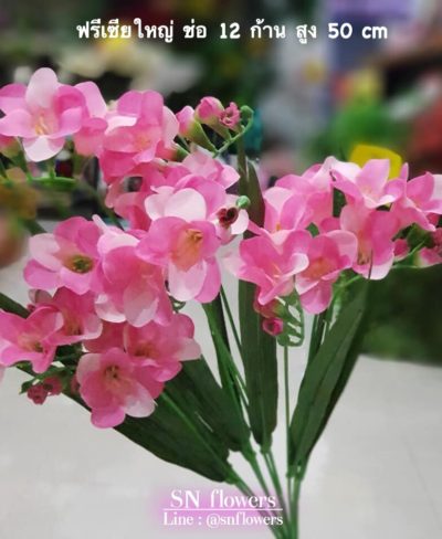 ดอกไม้สีชมพู_๑๙๐๕๐๓_0131