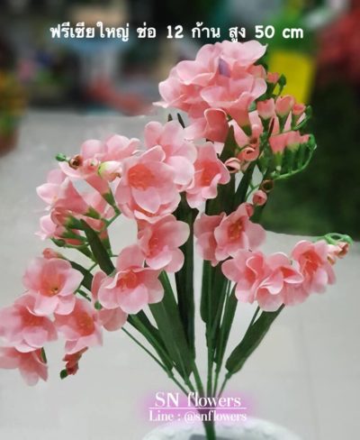 ดอกไม้สีชมพู_๑๙๐๕๐๓_0132