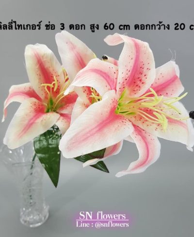 ดอกไม้สีชมพู_๑๙๐๕๐๓_0141