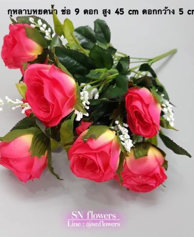 ดอกไม้สีชมพู_๑๙๐๕๐๓_0186