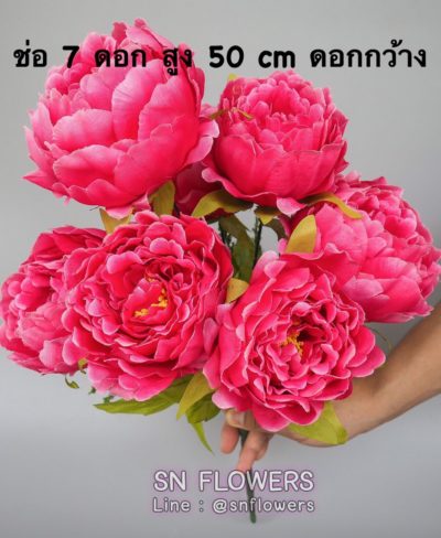 ดอกไม้สีชมพู_๑๙๐๕๐๓_0196