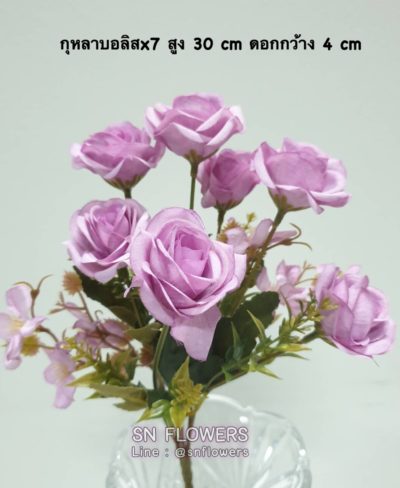 ดอกไม้สีม่วงมีข้อมูล_๑๙๐๕๑๙_0022