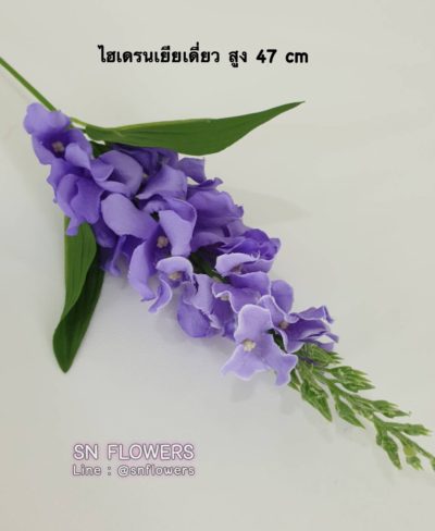 ดอกไม้สีม่วงมีข้อมูล_๑๙๐๕๑๙_0056