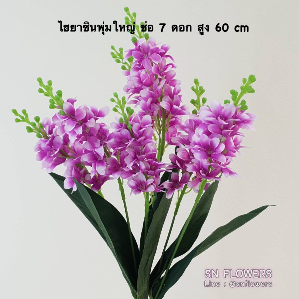 My Image 16