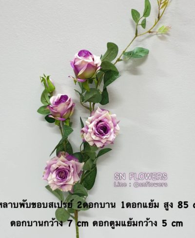 ดอกไม้สีม่วงมีข้อมูล_๑๙๐๕๑๙_0086
