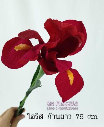 ดอกไม้แดง(ใส่ข้อมูลแล้ว)_๑๙๐๕๑๕_0011
