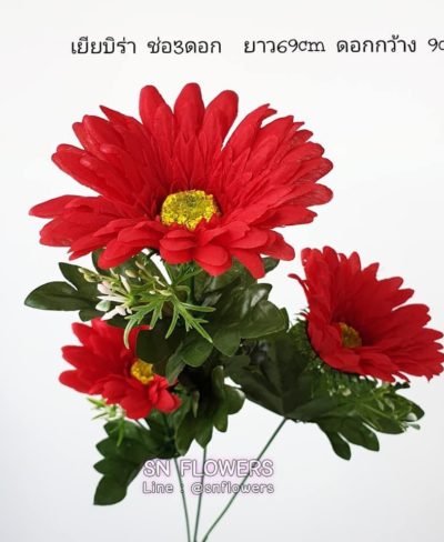 ดอกไม้แดง(ใส่ข้อมูลแล้ว)_๑๙๐๕๑๕_0015