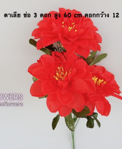 ดอกไม้แดง(ใส่ข้อมูลแล้ว)_๑๙๐๕๑๕_0035