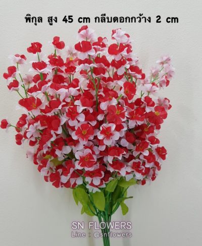 ดอกไม้แดง(ใส่ข้อมูลแล้ว)_๑๙๐๕๑๕_0039