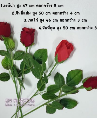 ดอกไม้แดง(ใส่ข้อมูลแล้ว)_๑๙๐๕๑๕_0082