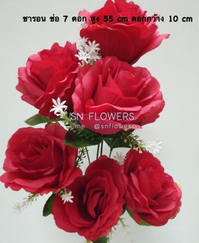 ดอกไม้แดง(ใส่ข้อมูลแล้ว)_๑๙๐๕๑๕_0084