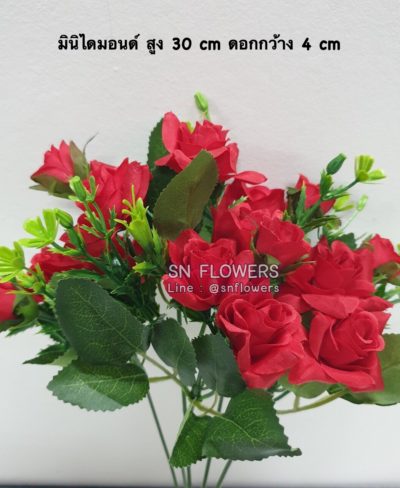 ดอกไม้แดง(ใส่ข้อมูลแล้ว)_๑๙๐๕๑๕_0085
