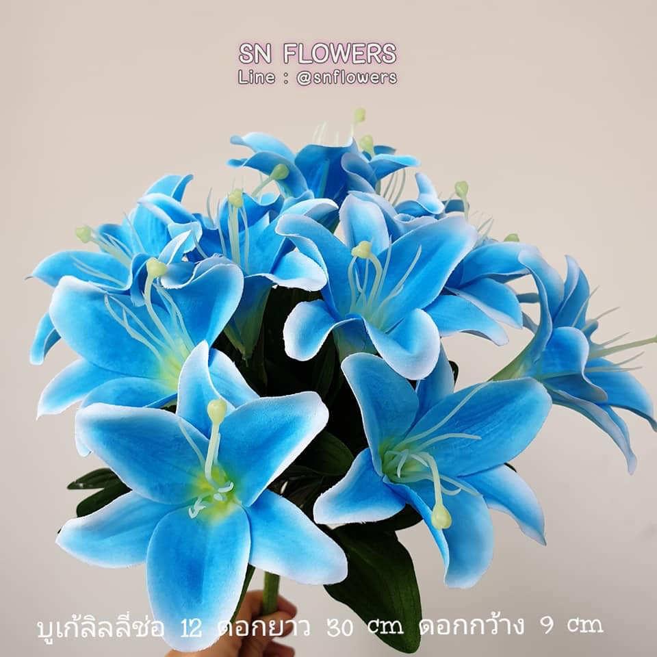My Image 90