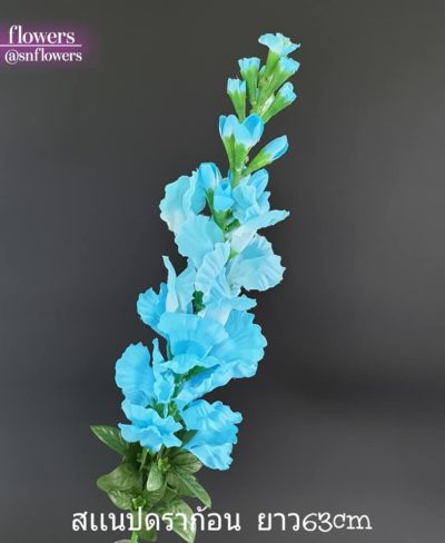 ดอกไม้สีฟ้า_๑๙๐๖๐๗_0001
