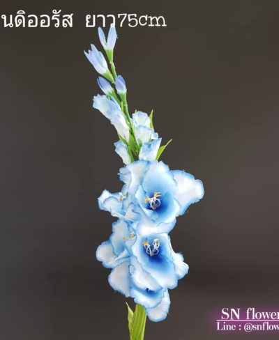 ดอกไม้สีฟ้า_๑๙๐๖๐๗_0002