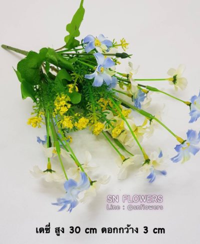 ดอกไม้สีฟ้า_๑๙๐๖๐๗_0012