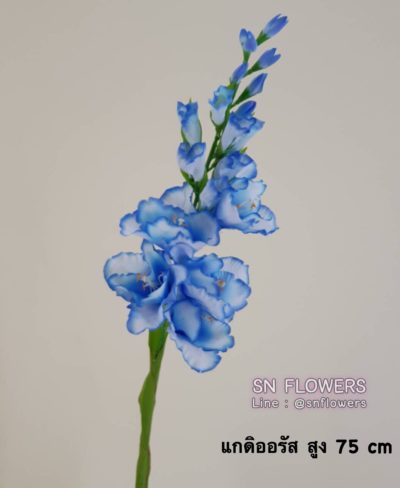 ดอกไม้สีฟ้า_๑๙๐๖๐๗_0014