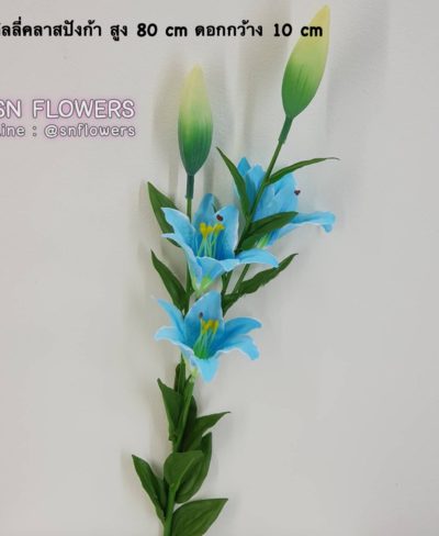 ดอกไม้สีฟ้า_๑๙๐๖๐๗_0015