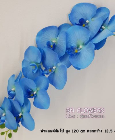 ดอกไม้สีฟ้า_๑๙๐๖๐๗_0016