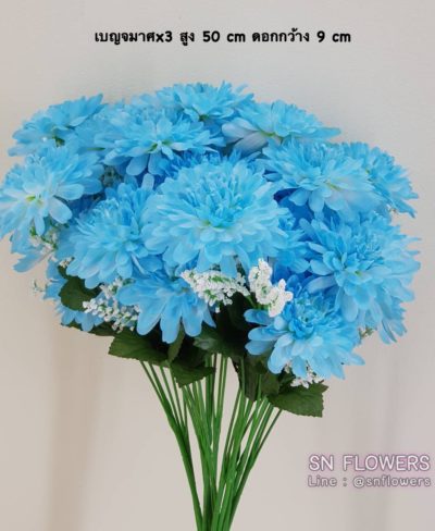 ดอกไม้สีฟ้า_๑๙๐๖๐๗_0017