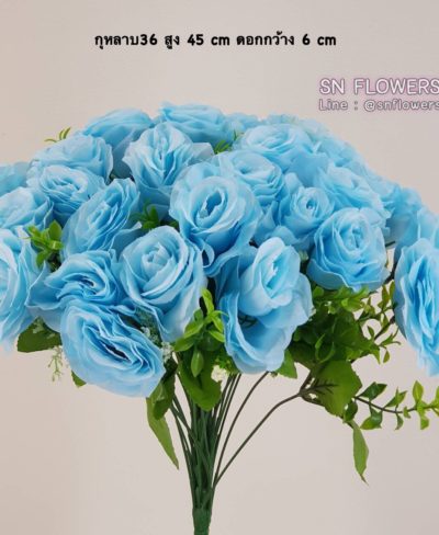 ดอกไม้สีฟ้า_๑๙๐๖๐๗_0019